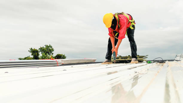 Best Rubber Roofing (EPDM, TPO)  in South Hill, NY